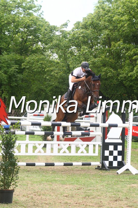 308M4013_Qamar al Layl_Zwei Phasen Sx.JPG